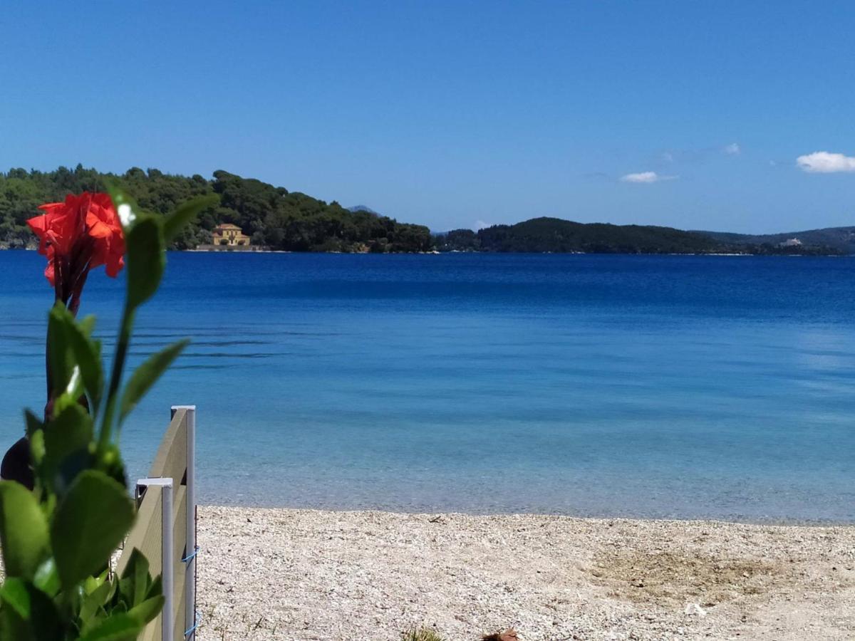 Villa Arktos Nydri (Lefkada) Exterior foto